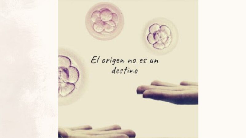 El origen no es destino thumbnail